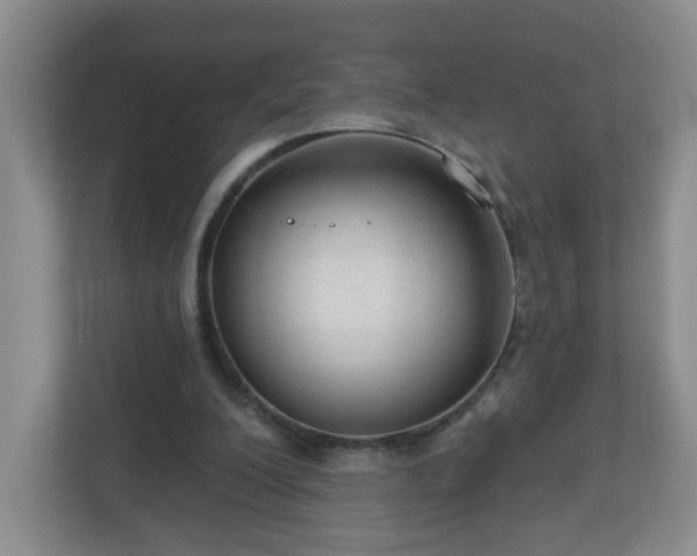 X0000111160200200907071135