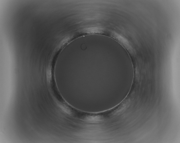 X0000111160202200907071135