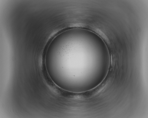 X0000111160204200907071135