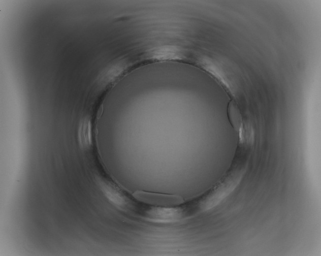 X0000111160205200907071135