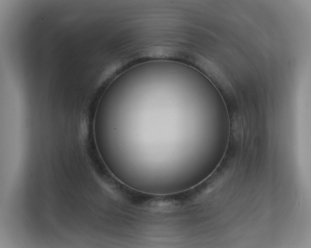 X0000111160208200907071135