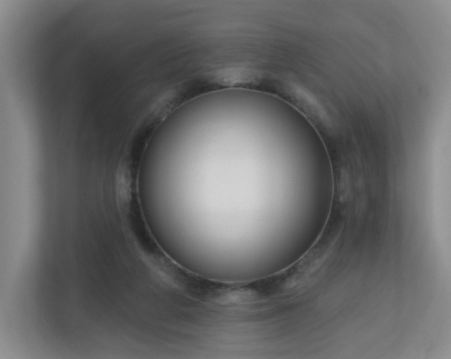 X0000111160210200907071135