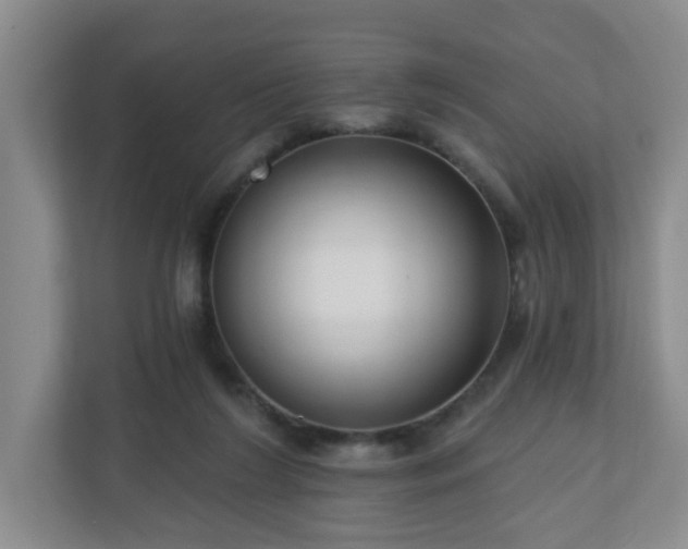 X0000111160212200907071135