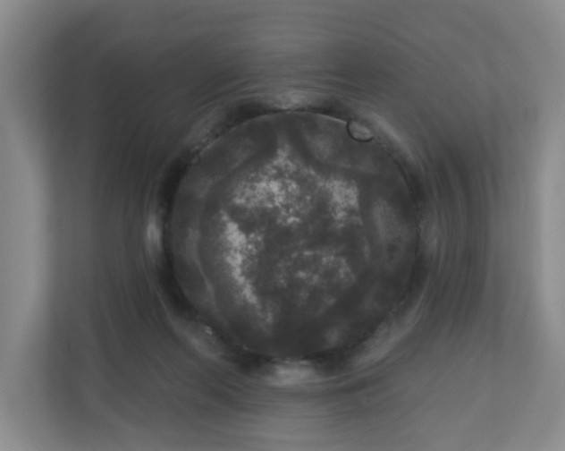 X0000111160214200907071135