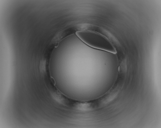 X0000111160217200907071135