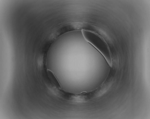 X0000111160221200907071135