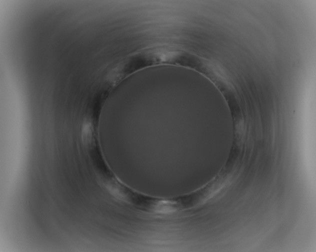 X0000111160222200907071135