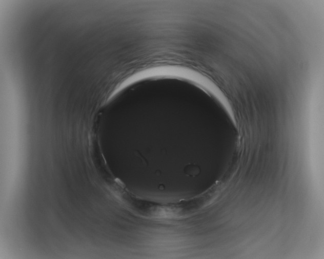 X0000111160223200907071135