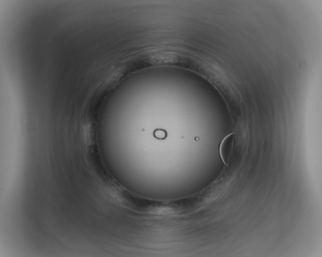 X0000111160224200907071135