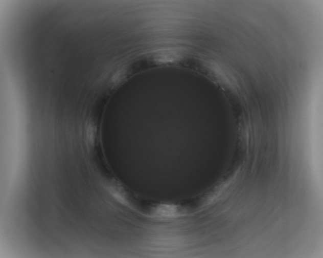 X0000111160227200907071135