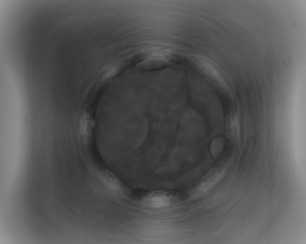 X0000111160228200907071135