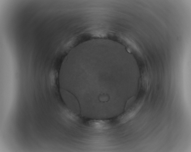 X0000111160229200907071135