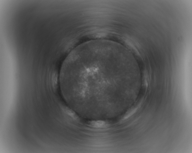 X0000111160230200907071135