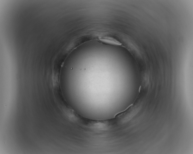 X0000111160236200907071135