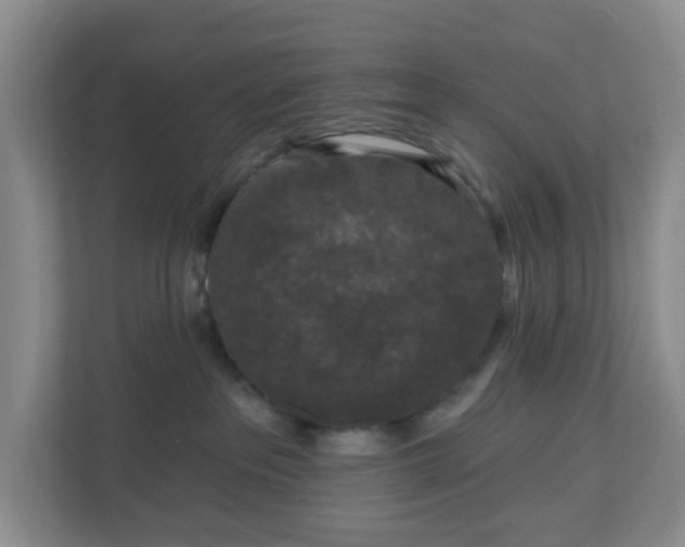 X0000111160237200907071135