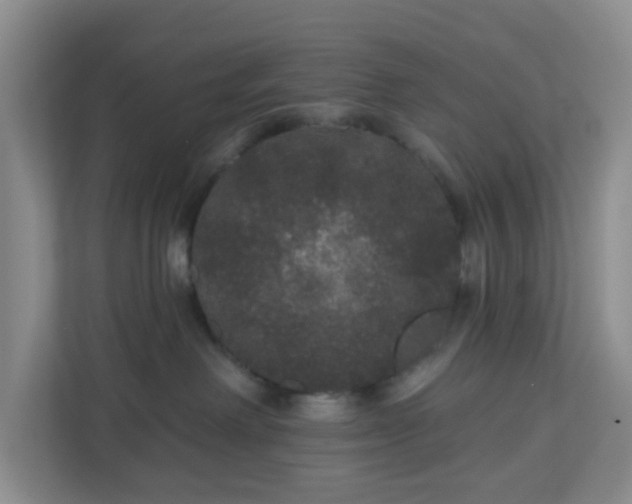X0000111160238200907071135