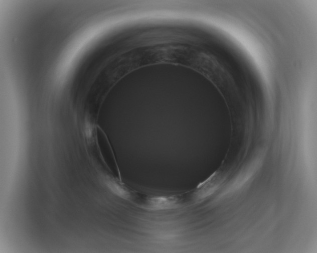 X0000111160239200907071135