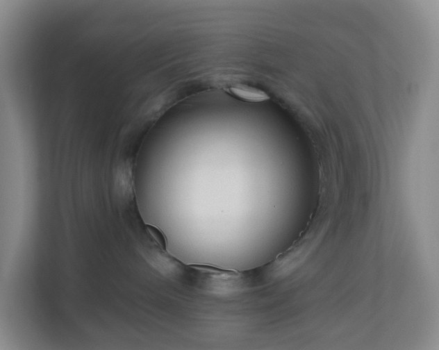 X0000111160240200907071135