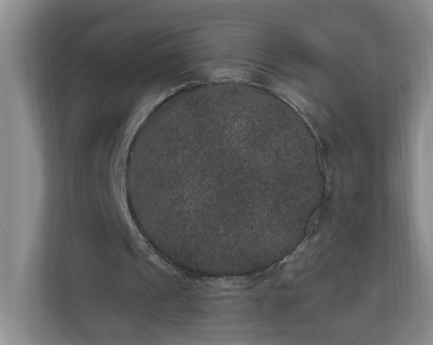 X0000111160241200907071134