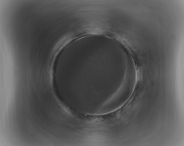 X0000111160243200907071134