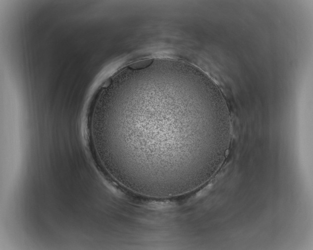 X0000111160245200907071134