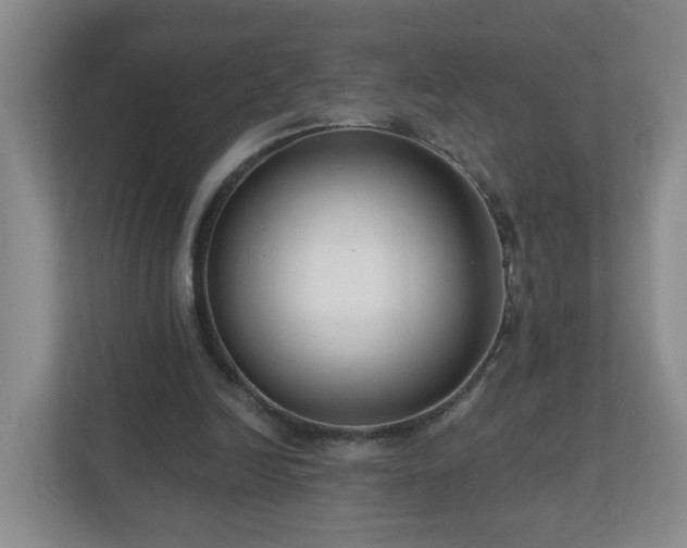 X0000111160246200907071134