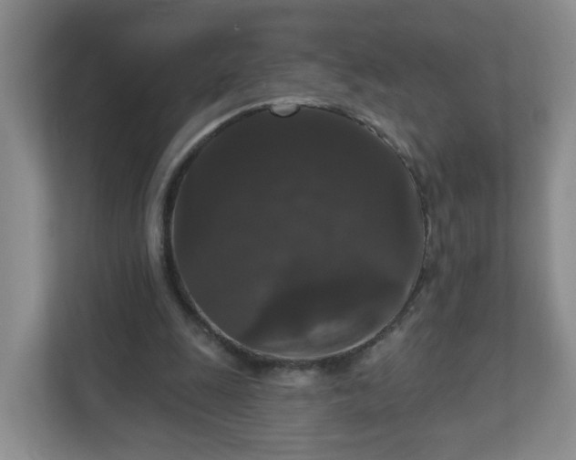 X0000111160247200907071134