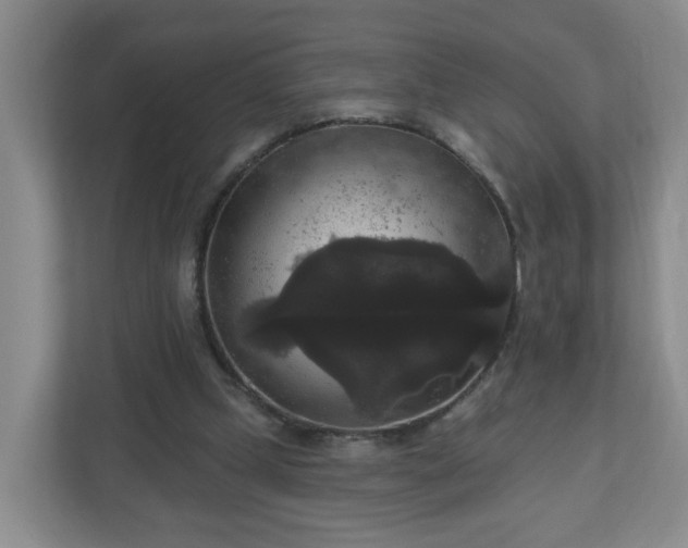 X0000111160249200907071134