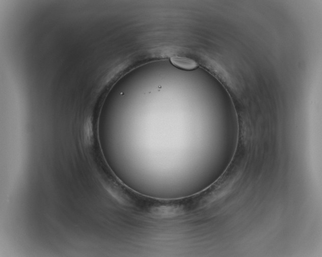 X0000111160251200907071134