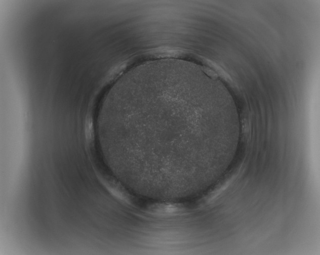 X0000111160254200907071134