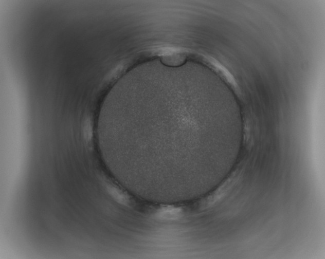 X0000111160257200907071135