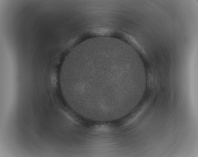 X0000111160259200907071135