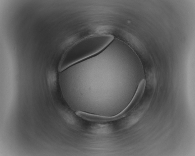 X0000111160260200907071135