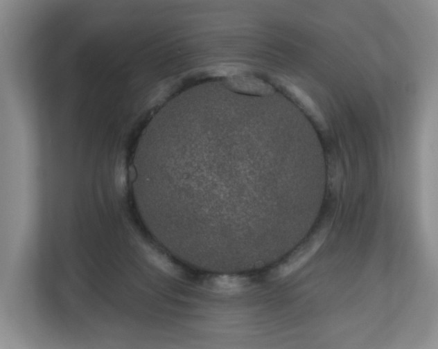 X0000111160261200907071135