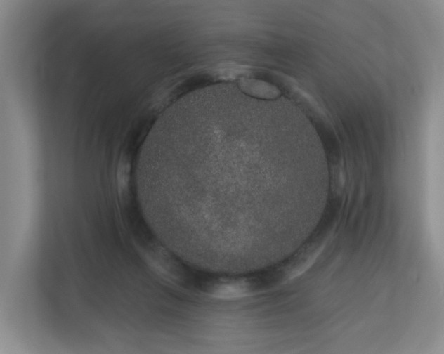 X0000111160263200907071135