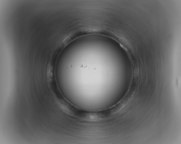X0000111160264200907071135