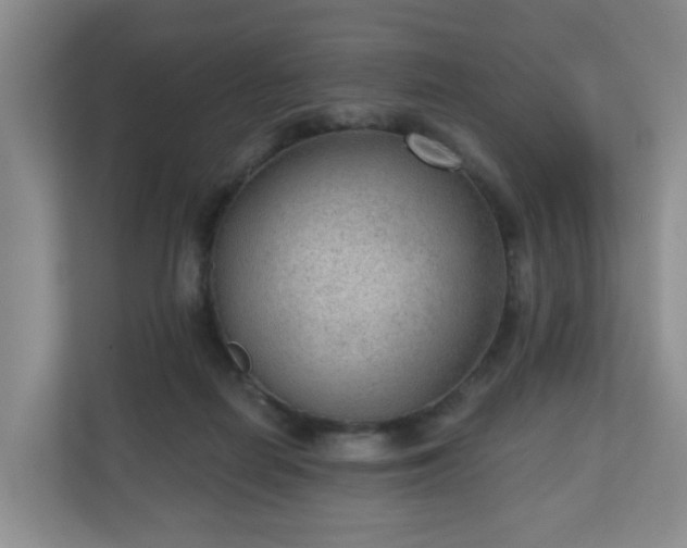 X0000111160266200907071135