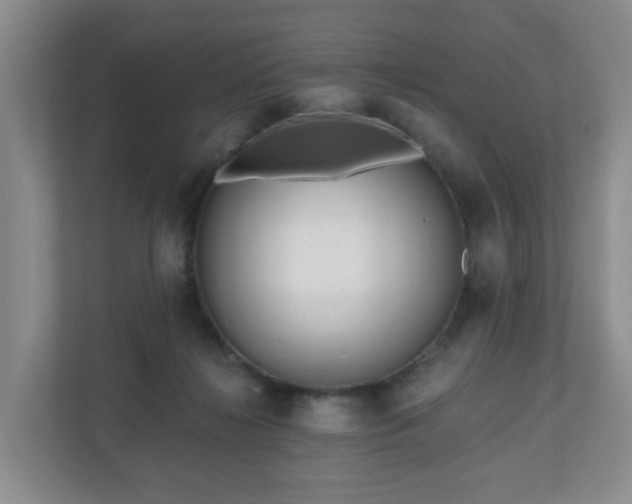 X0000111160268200907071135