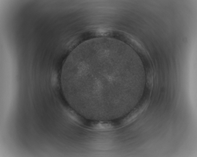X0000111160270200907071135