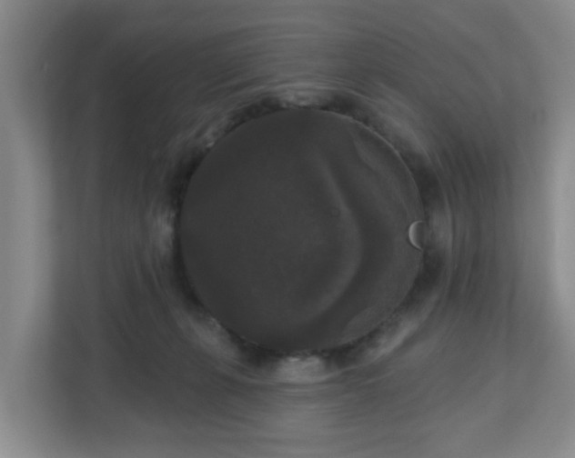 X0000111160271200907071135