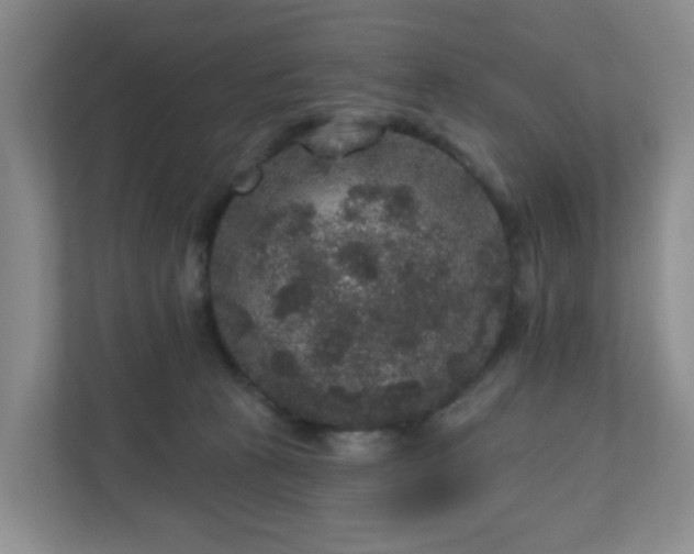 X0000111160273200907071135