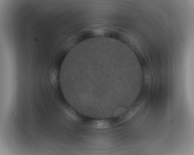 X0000111160275200907071135