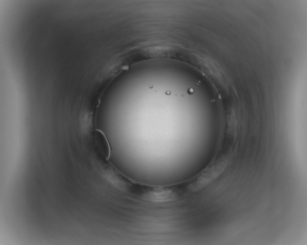 X0000111160278200907071135