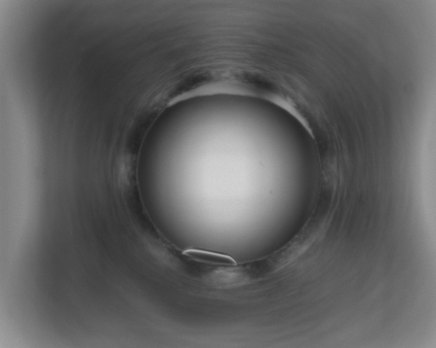 X0000111160280200907071135