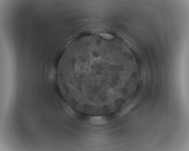 X0000111160281200907071135