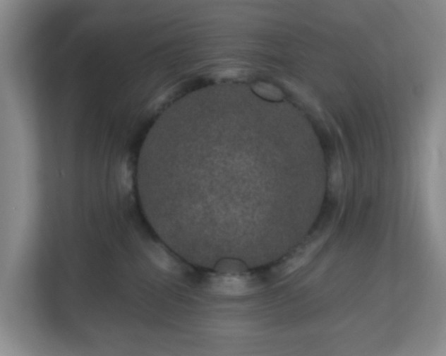 X0000111160282200907071135