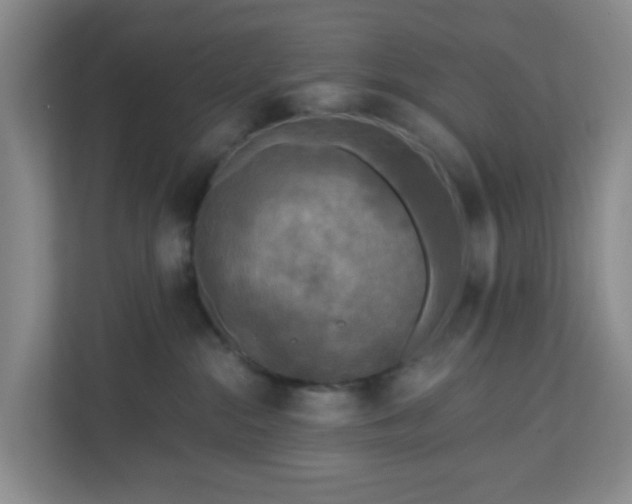 X0000111160284200907071135