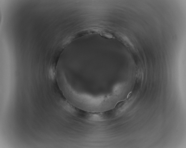 X0000111160285200907071135