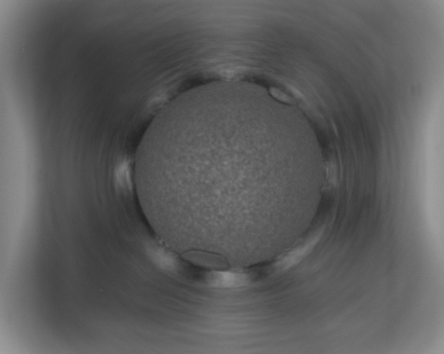 X0000111160286200907071135