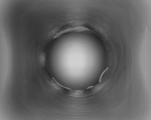 X0000111160288200907071135